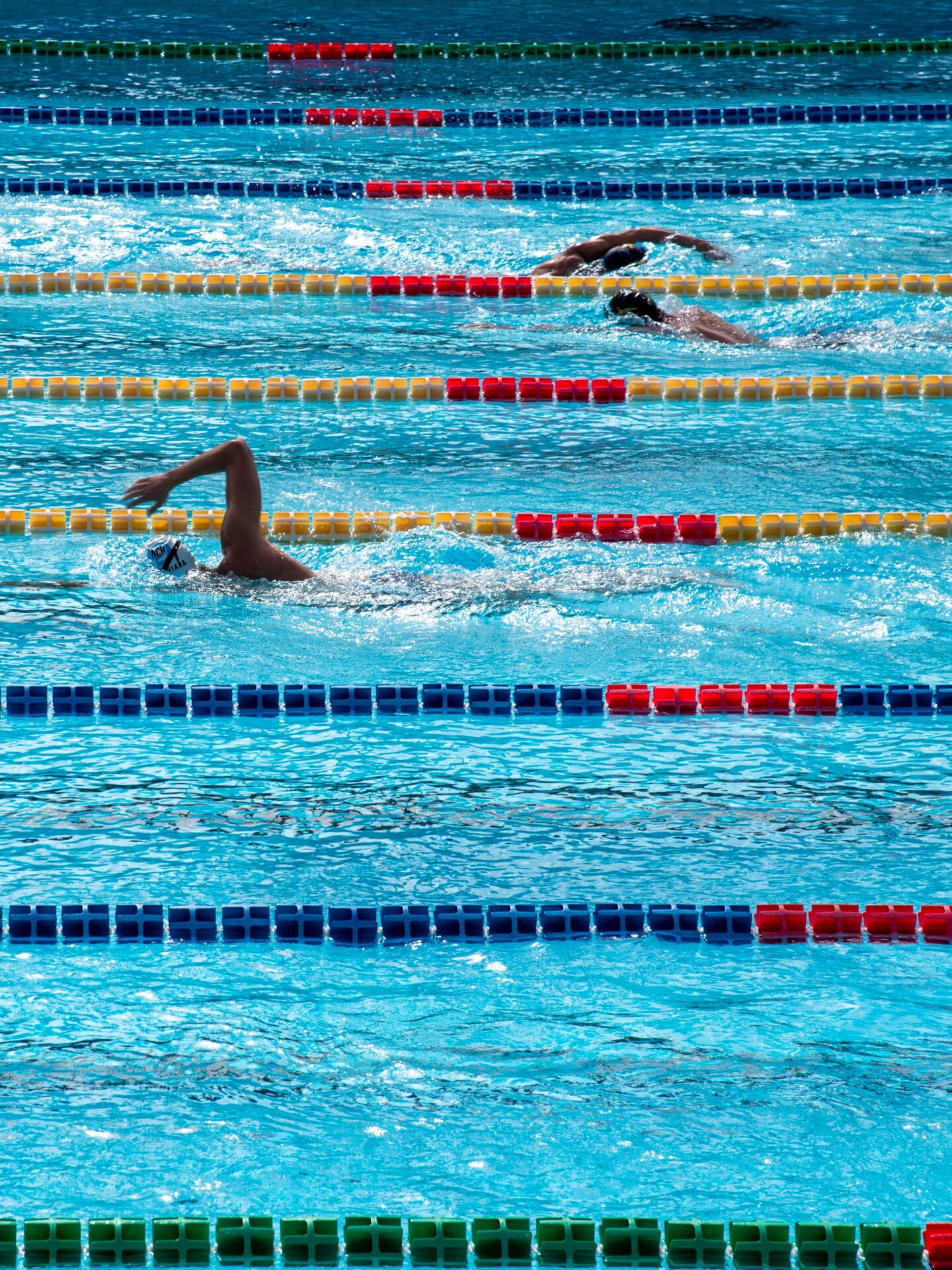 Featured image for “Schwimmen im Herbst 2023”