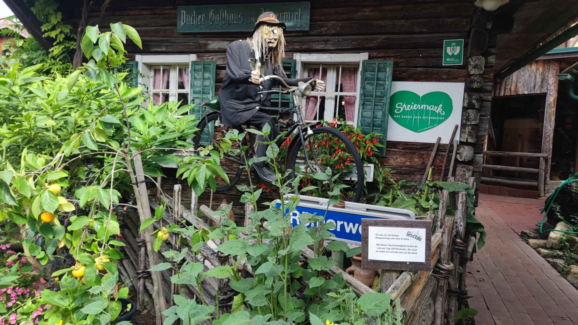 Featured image for “Ausfahrt mit Helmut”