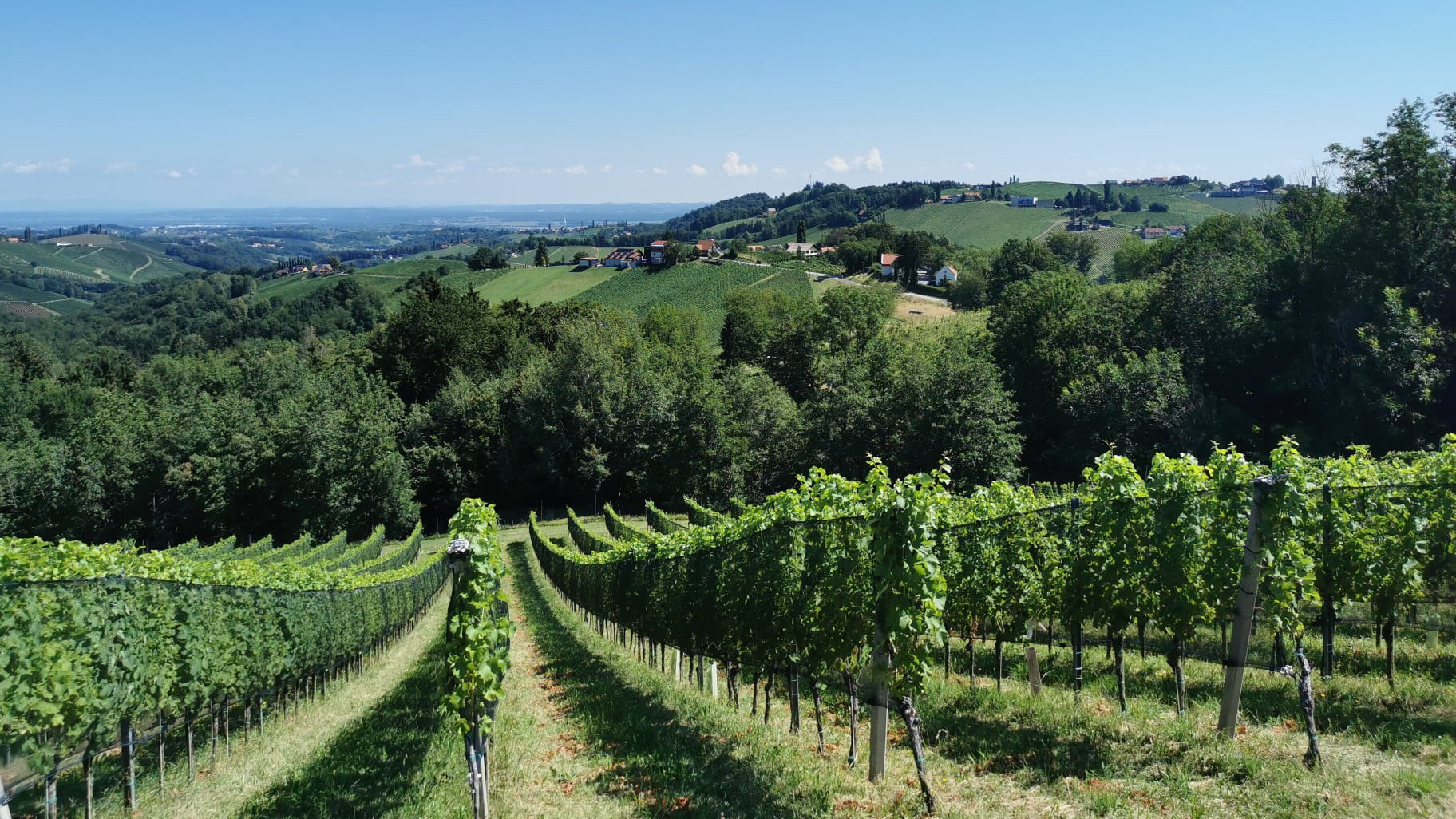 Featured image for “13 Colle der Südsteiermark”